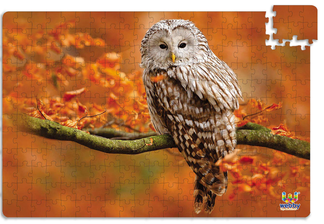 Webby Owl in Autumn Jigsaw Puzzle, 252 pieces