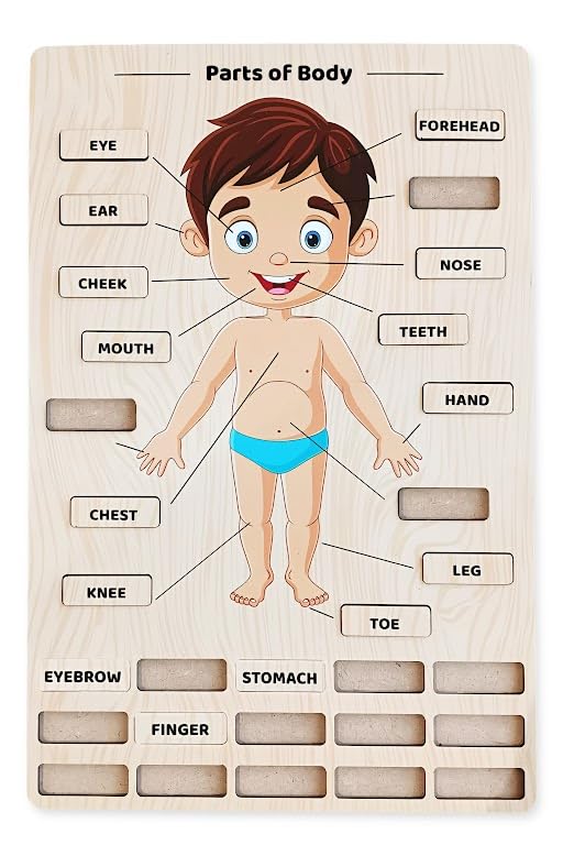 Webby Wooden Body Parts Learning Puzzle Board | Educational Anatomy Toy for Kids