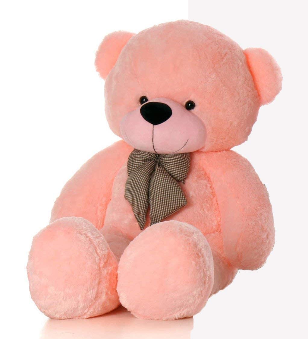 Webby 2 Feet Plush Huggable Teddy Bear with Neck Bow, Soft Toys for Kids and Adult
