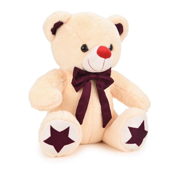 Webby Plush Cute and Adorable Teddy Bear with Star Paw