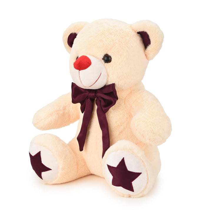 Webby Plush Cute and Adorable Teddy Bear with Star Paw