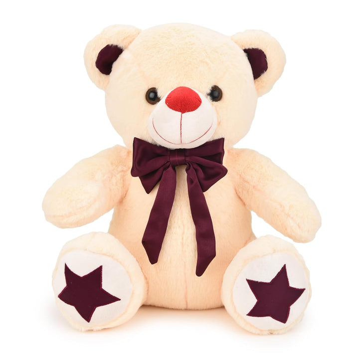 Webby Plush Cute and Adorable Teddy Bear with Star Paw