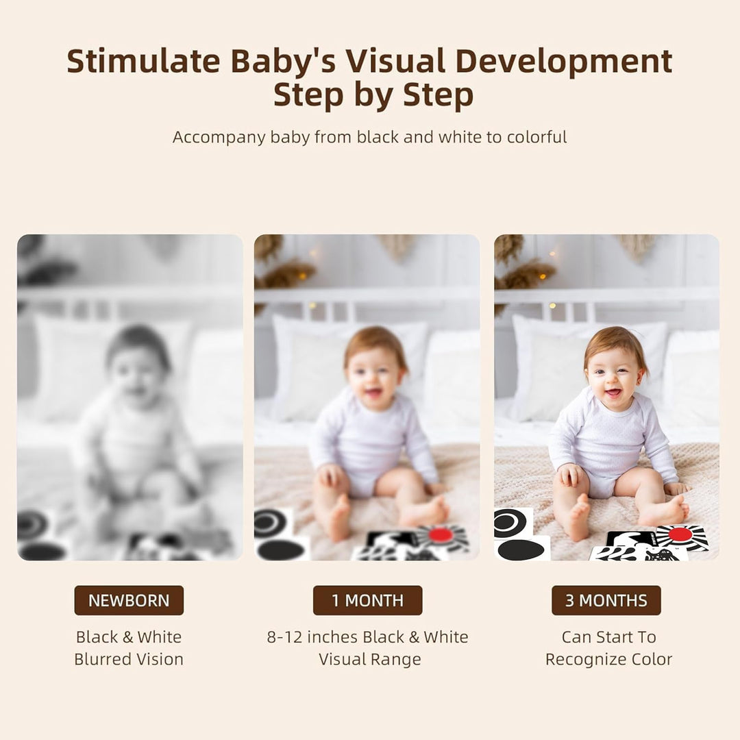 Webby High Contrast Baby Flashcards