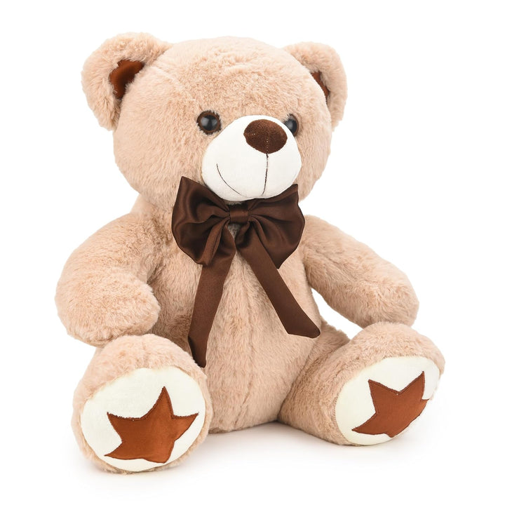 Webby Plush Cute and Adorable Teddy Bear with Star Paw