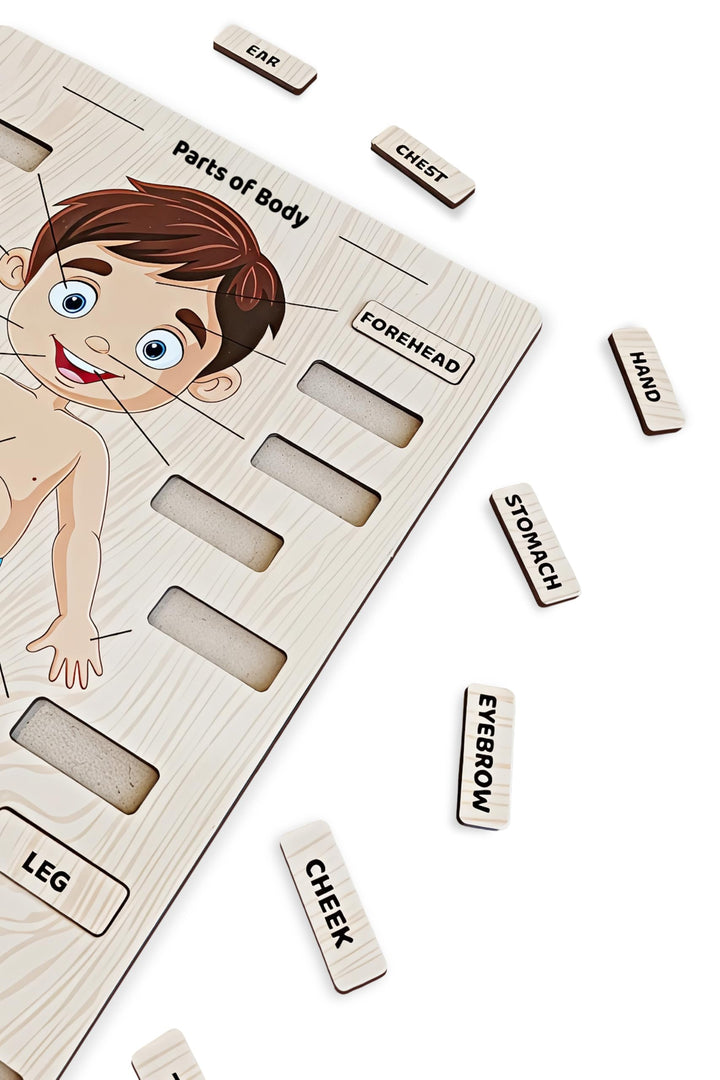 Webby Wooden Body Parts Learning Puzzle Board | Educational Anatomy Toy for Kids