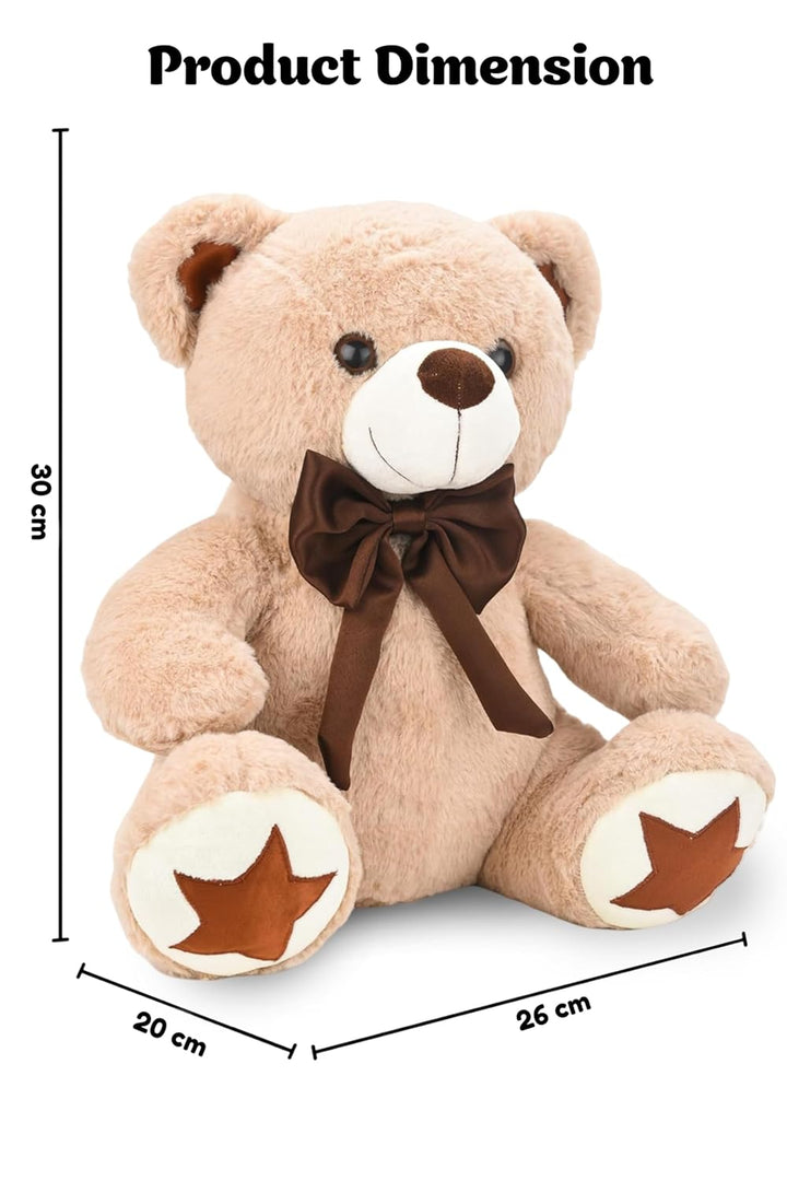 Webby Plush Cute and Adorable Teddy Bear with Star Paw