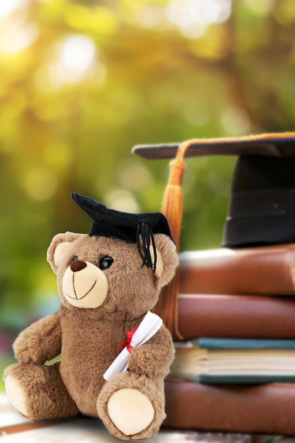 Webby Plush Graduation Teddy Bear Soft Toys