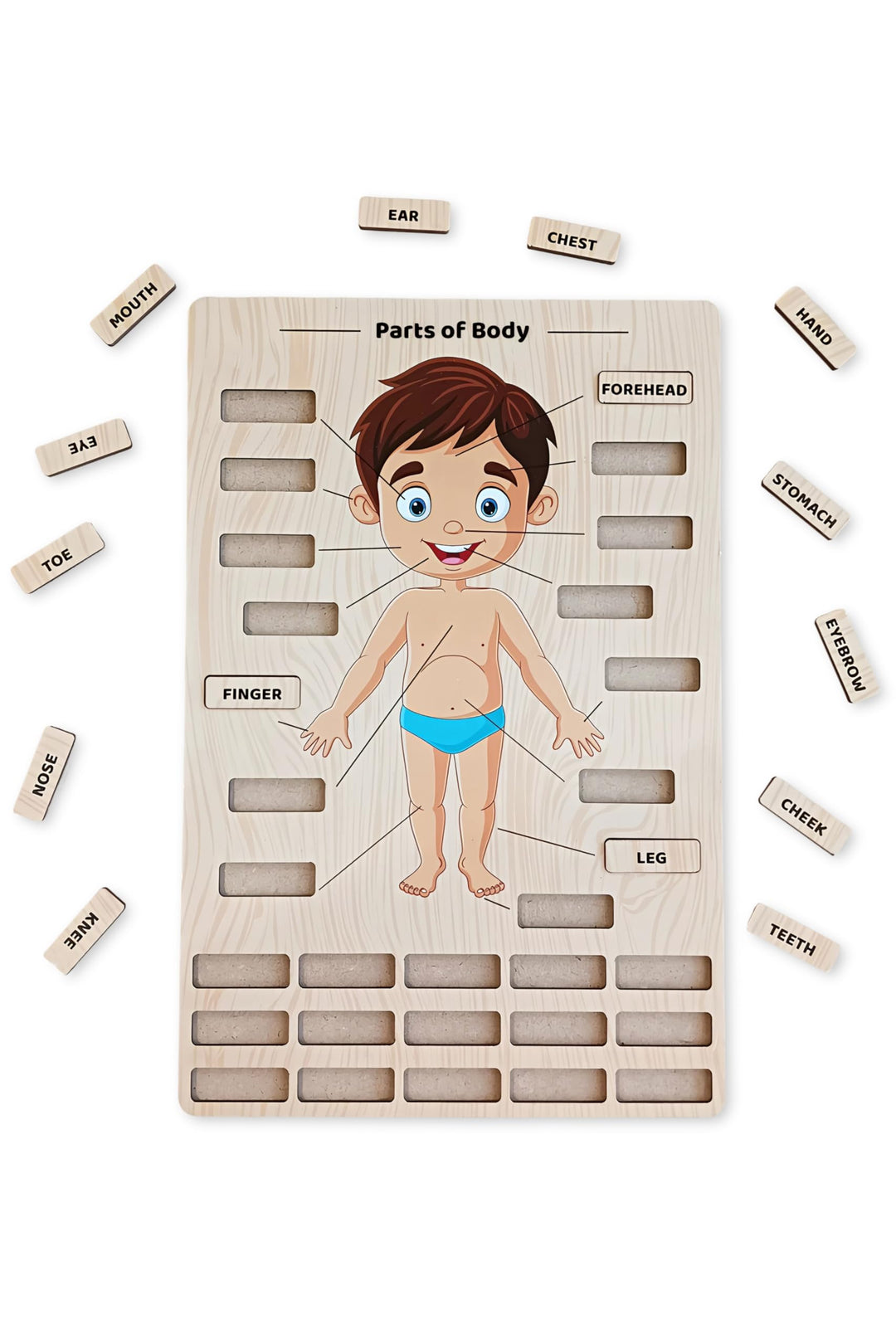 Webby Wooden Body Parts Learning Puzzle Board | Educational Anatomy Toy for Kids