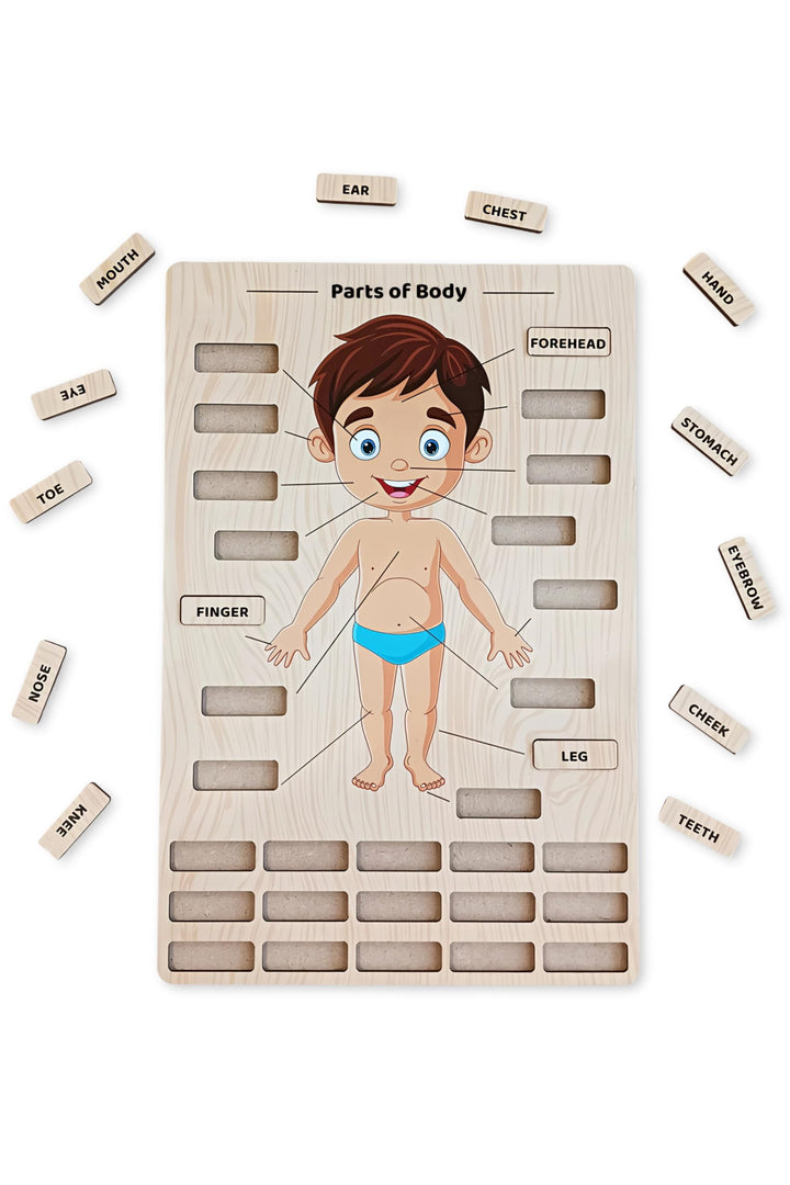 Webby Wooden Body Parts Learning Puzzle Board | Educational Anatomy Toy for Kids