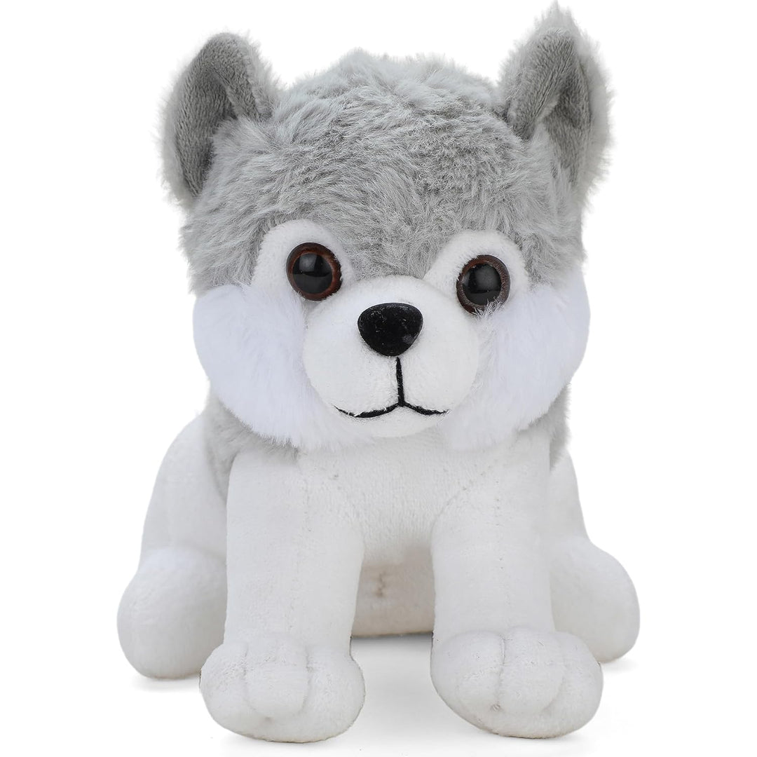 Webby Plush Husky Soft Toys for Kids Small, 20 CM (Gray)