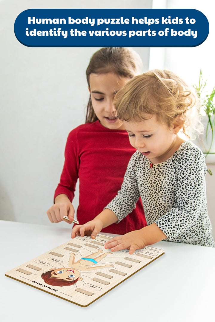 Webby Wooden Body Parts Learning Puzzle Board | Educational Anatomy Toy for Kids