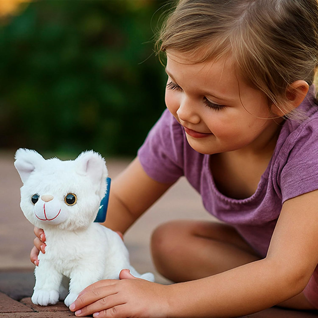 Webby Plush Sitting Cat Soft Toys | Cute Stuffed Animals for Kids and Adults