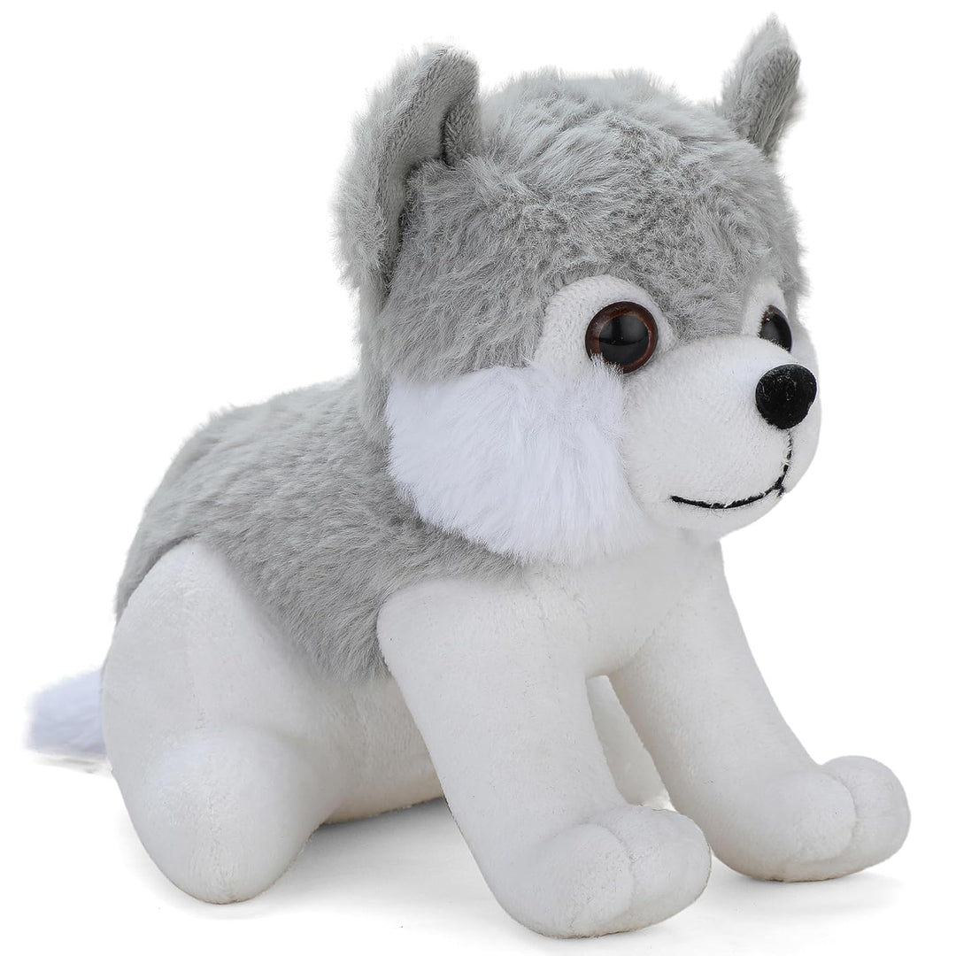 Webby Plush Husky Soft Toys for Kids Small, 20 CM (Gray)