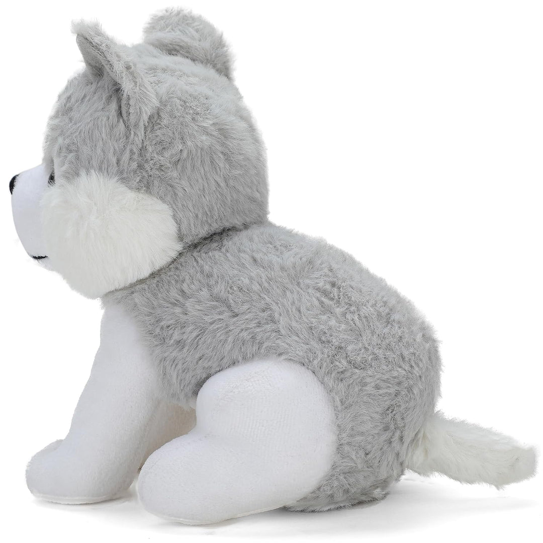 Webby Plush Husky Soft Toys for Kids Small, 20 CM (Gray)