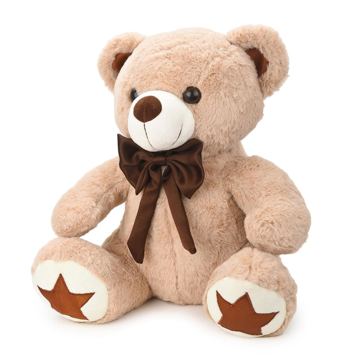 Webby Plush Cute and Adorable Teddy Bear with Star Paw
