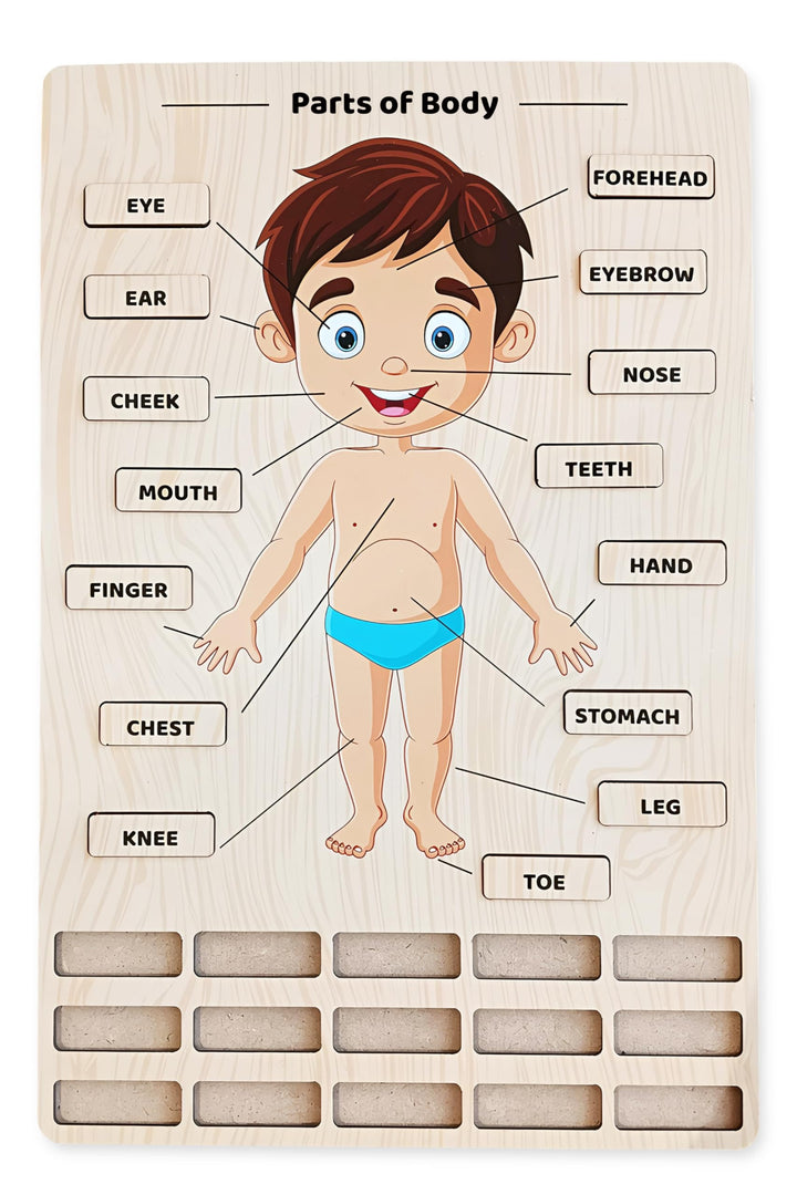 Webby Wooden Body Parts Learning Puzzle Board | Educational Anatomy Toy for Kids
