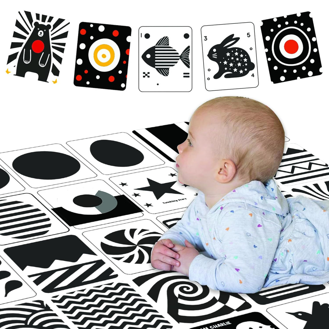 Webby High Contrast Baby Flashcards