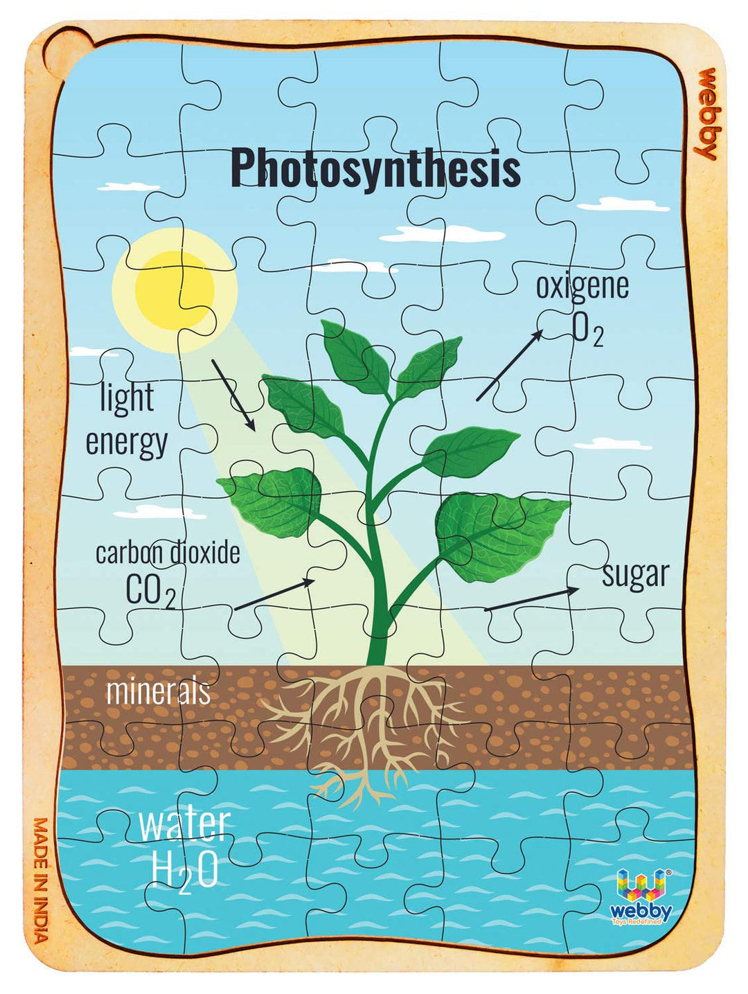Webby Photosynthesis Wooden Floor Puzzle, 40 Pcs