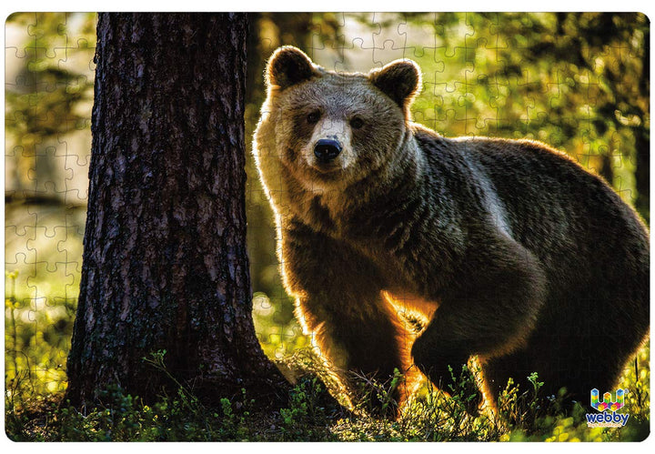 Webby Wild Brown Bear Jigsaw Puzzle, 252 pieces