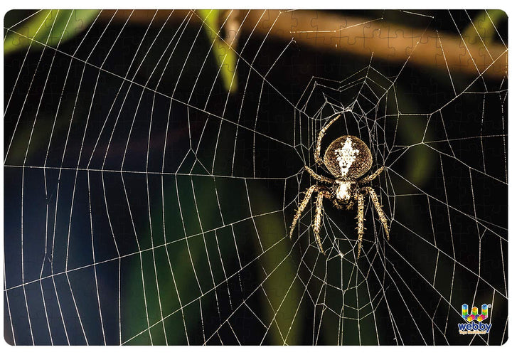 Webby The Spider on the Web Wooden Jigsaw Puzzle, 252 pieces