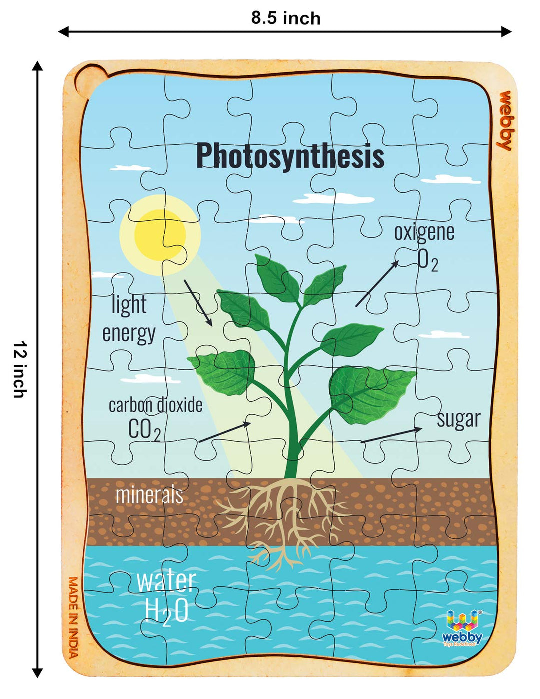 Webby Photosynthesis Wooden Floor Puzzle, 40 Pcs