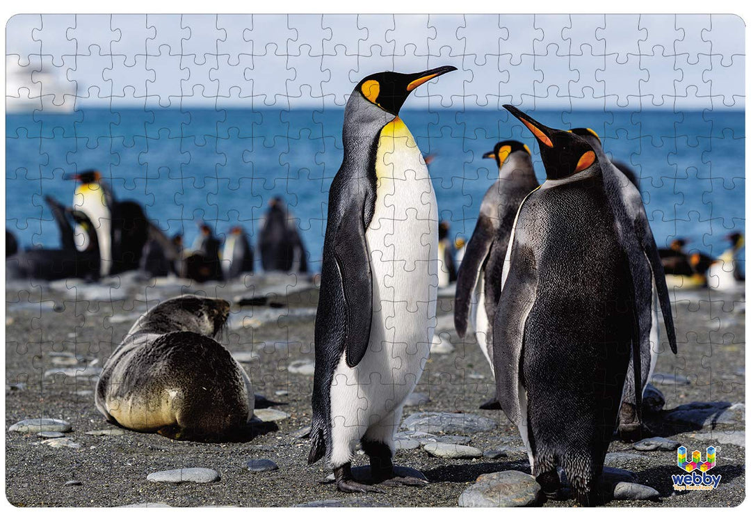 Webby Penguins on Seashore Jigsaw Puzzle, 252 pieces