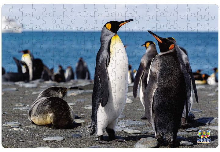Webby Penguins on Seashore Jigsaw Puzzle, 252 pieces