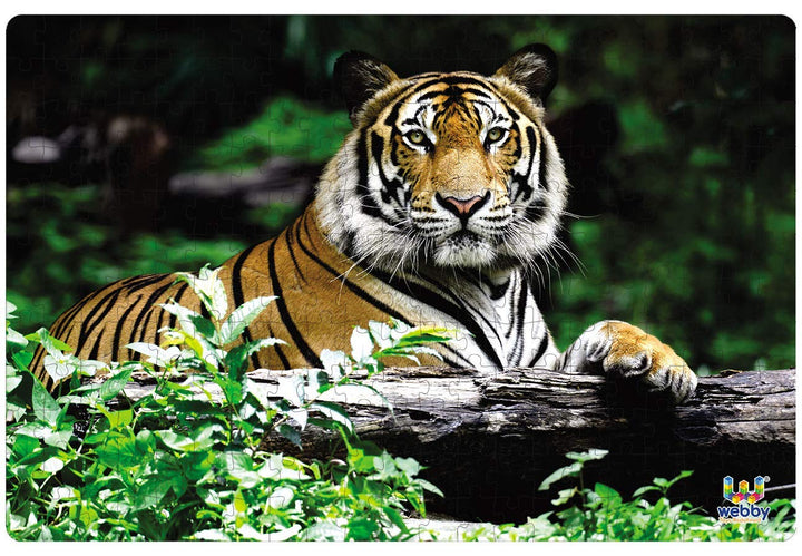 Webby Indian Bengal Tiger Jigsaw Puzzle, 252 pieces