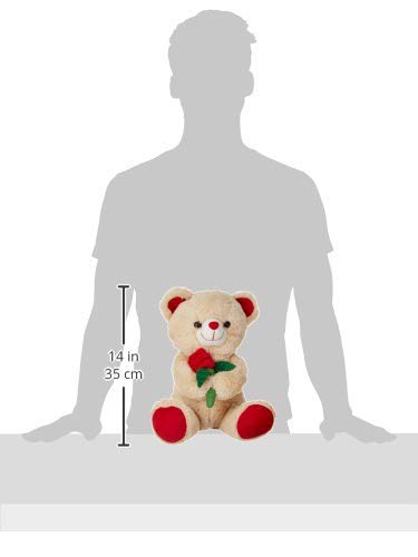 Webby Soft Cute Teddy Bear With Rose Flower