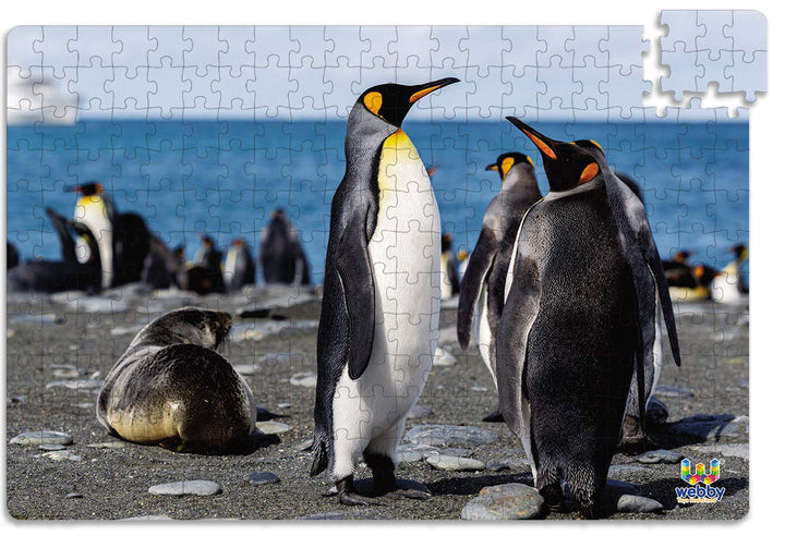 Webby Penguins on Seashore Jigsaw Puzzle, 252 pieces