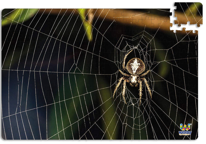 Webby The Spider on the Web Wooden Jigsaw Puzzle, 252 pieces