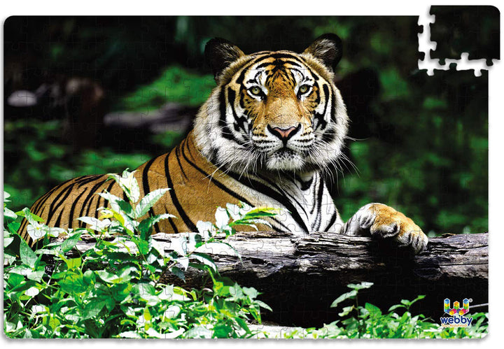 Webby Indian Bengal Tiger Jigsaw Puzzle, 252 pieces