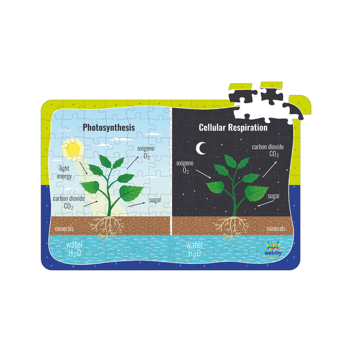 Webby Photosynthesis & Respiration Wooden Jigsaw Puzzle, 108 Pieces, Multicolor