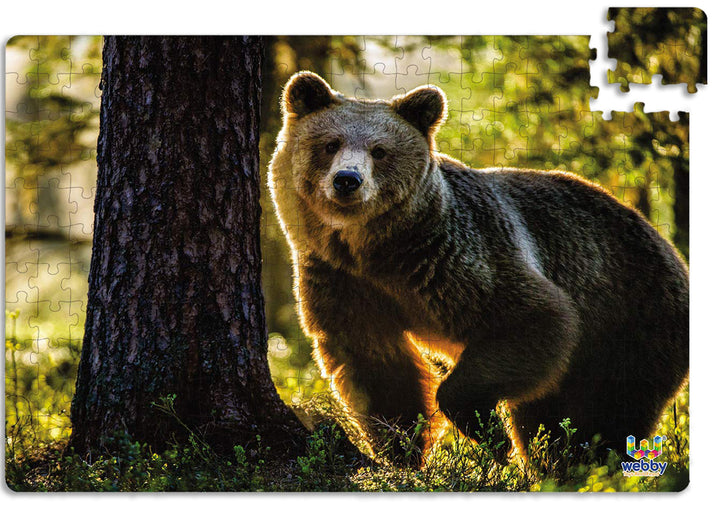 Webby Wild Brown Bear Jigsaw Puzzle, 252 pieces