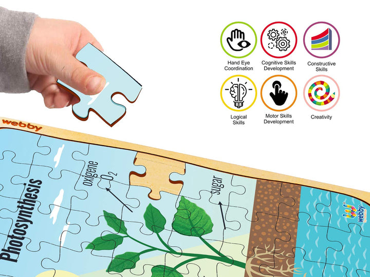 Webby Photosynthesis Wooden Floor Puzzle, 40 Pcs
