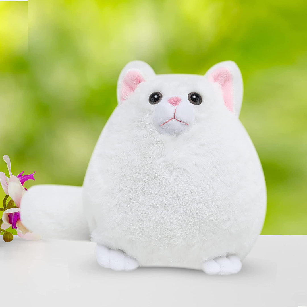 Webby Plush Cute and Adorable Fat Fluffy Cat Soft Toy